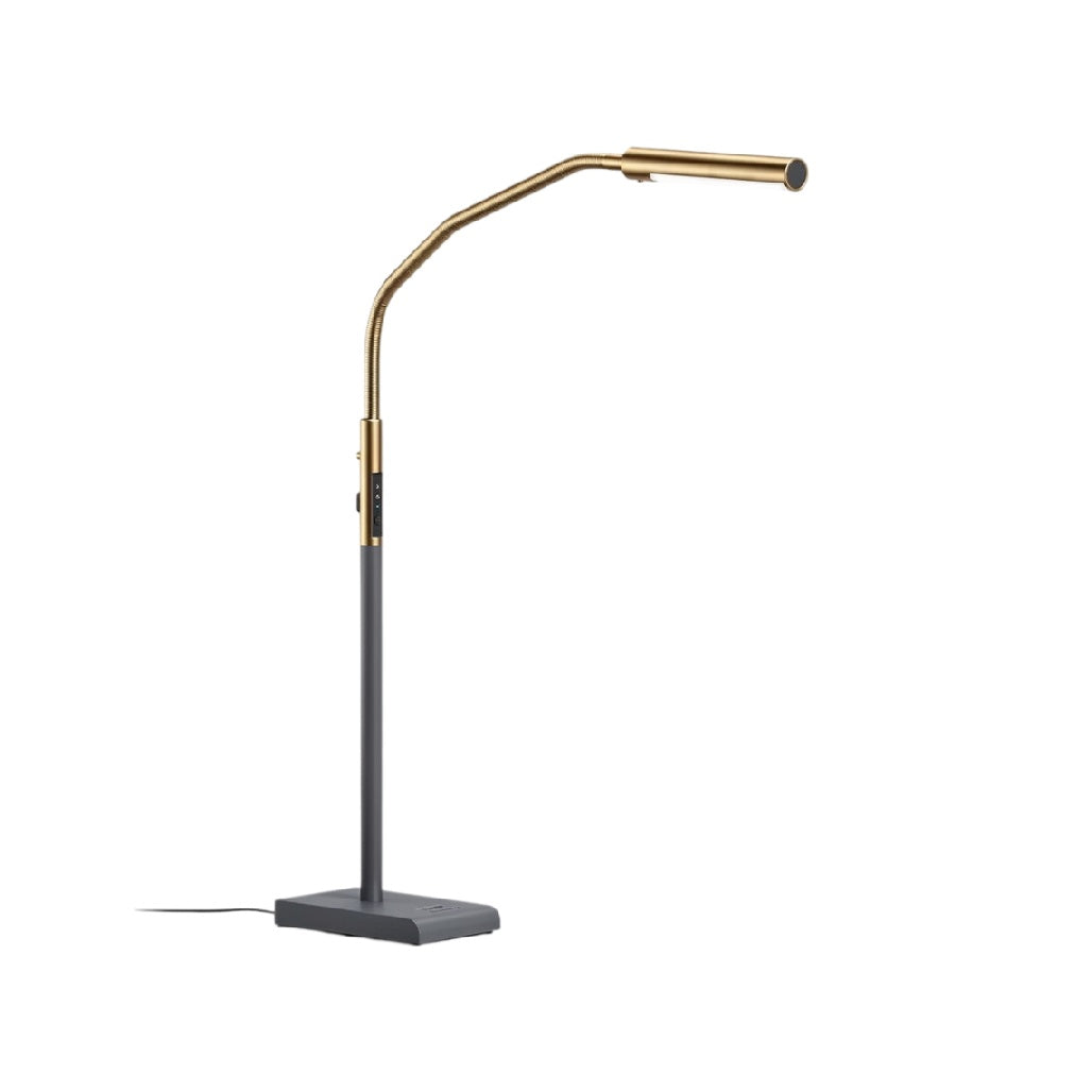 **Technische titel in het Nederlands: Stijlvolle, verstelbare bureaulamp met gouden accenten**